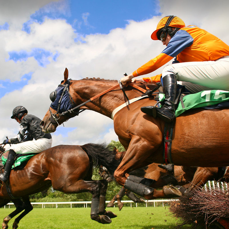 Group transport for all race days at Chester Racecourse, we're the perfect transport solution for groups travelling from Lancaster and the surrounding Lancashire and Cumbria area