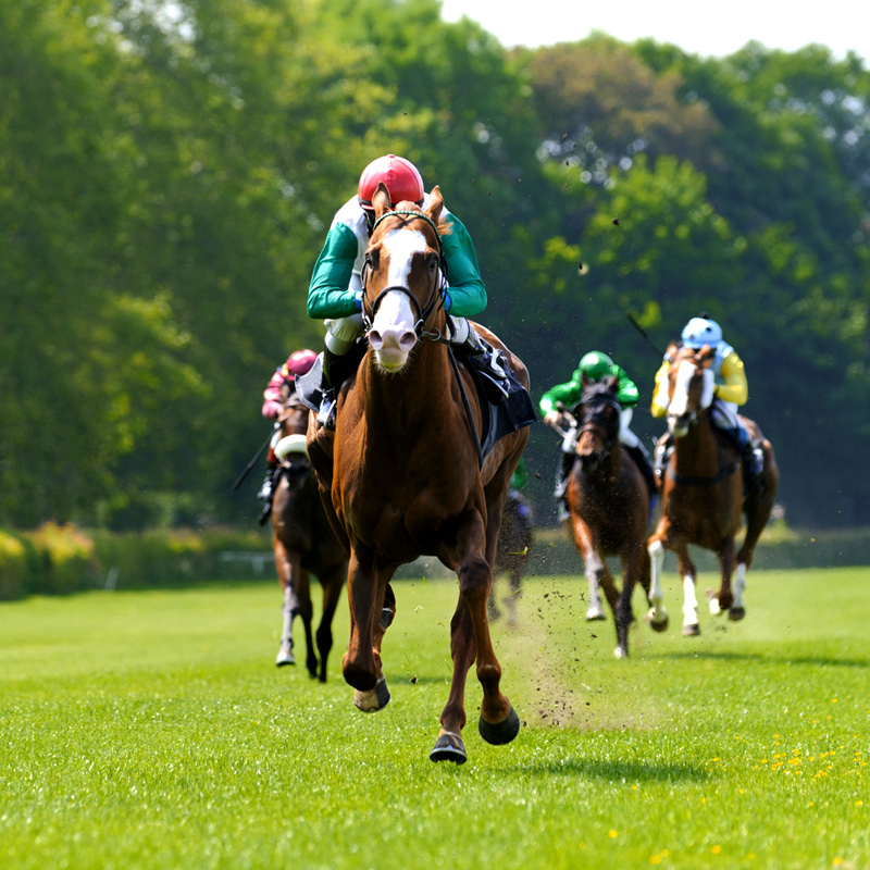 Group transport for all race days at Haydock, we're the perfect transport solution for groups travelling from Lancaster and the surrounding Lancashire and Cumbria area