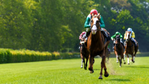Group transport for all race days at Haydock, we're the perfect transport solution for groups travelling from Lancaster and the surrounding Lancashire and Cumbria area