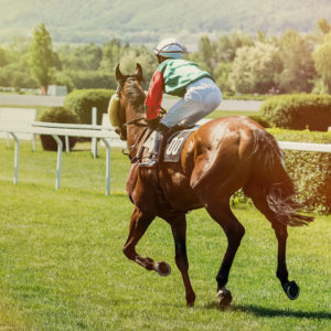 Group minibus transport for all race days, including Cheltenham, the Grand National, Ascot, Aintree, Haydock, Chester and Cartmell